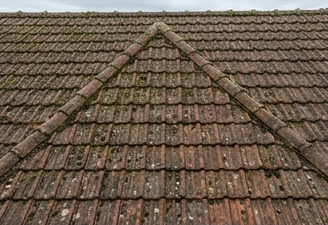 Toiture avant nettoyage